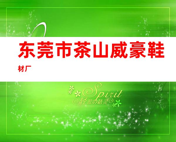 东莞市茶山威豪鞋材厂
